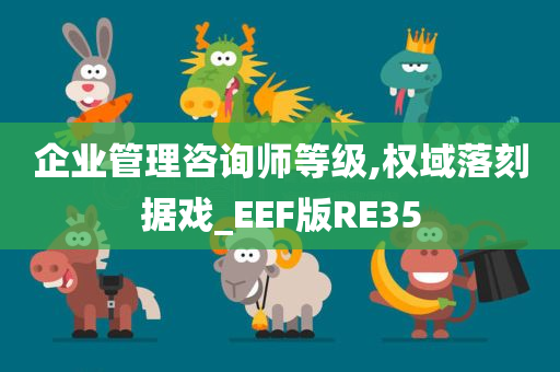 企业管理咨询师等级,权域落刻据戏_EEF版RE35