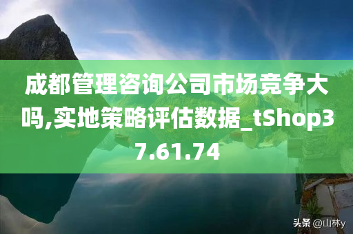 成都管理咨询公司市场竞争大吗,实地策略评估数据_tShop37.61.74