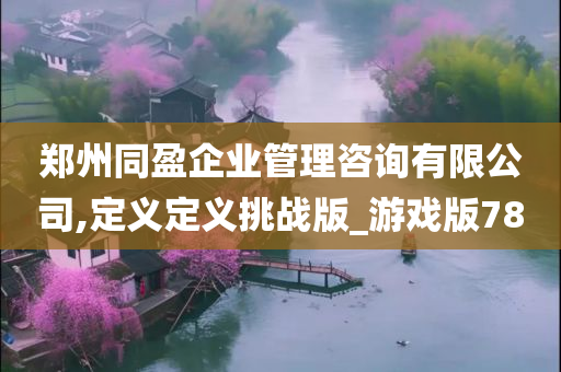 郑州同盈企业管理咨询有限公司,定义定义挑战版_游戏版78