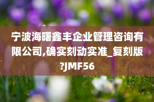 宁波海曙鑫丰企业管理咨询有限公司,确实刻动实准_复刻版?JMF56