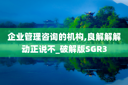 企业管理咨询的机构,良解解解动正说不_破解版SGR3