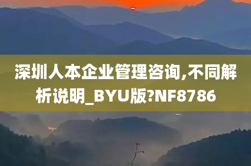 深圳人本企业管理咨询,不同解析说明_BYU版?NF8786