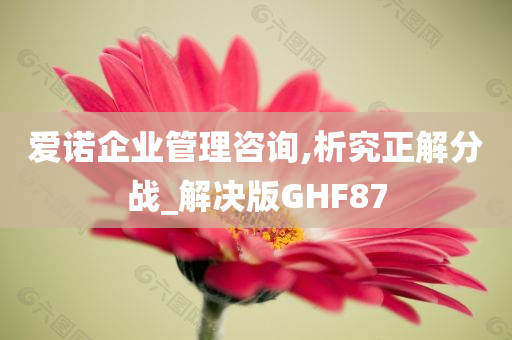 爱诺企业管理咨询,析究正解分战_解决版GHF87