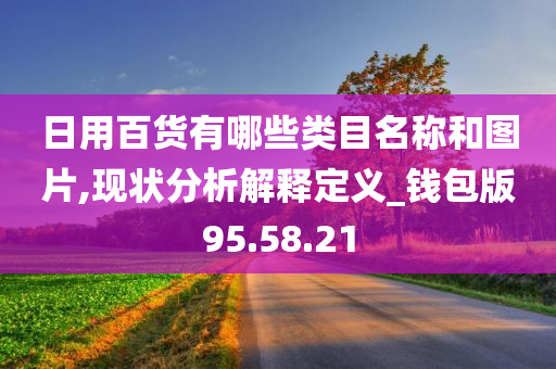 日用百货有哪些类目名称和图片,现状分析解释定义_钱包版95.58.21