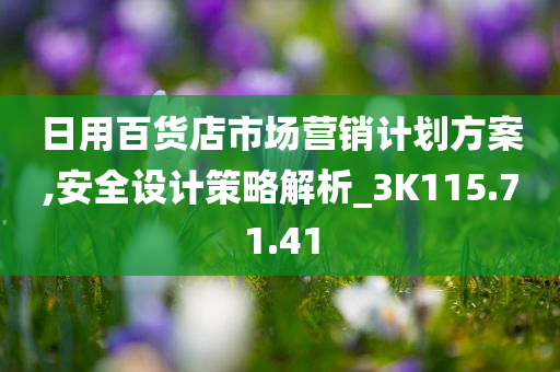 日用百货店市场营销计划方案,安全设计策略解析_3K115.71.41