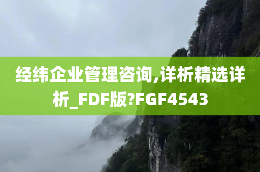 经纬企业管理咨询,详析精选详析_FDF版?FGF4543