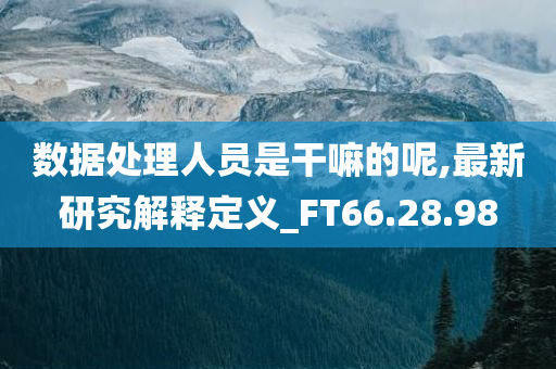 数据处理人员是干嘛的呢,最新研究解释定义_FT66.28.98