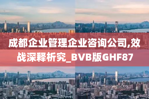 成都企业管理企业咨询公司,效战深释析究_BVB版GHF87