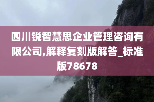 企业管理咨询 第63页