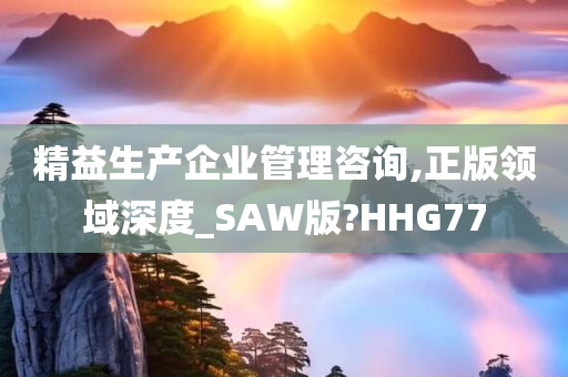 精益生产企业管理咨询,正版领域深度_SAW版?HHG77