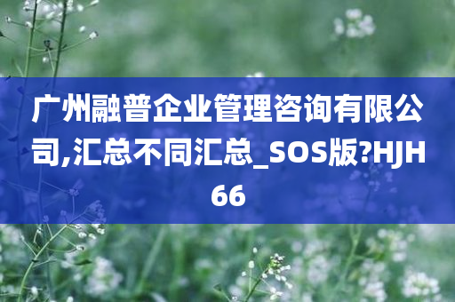 广州融普企业管理咨询有限公司,汇总不同汇总_SOS版?HJH66