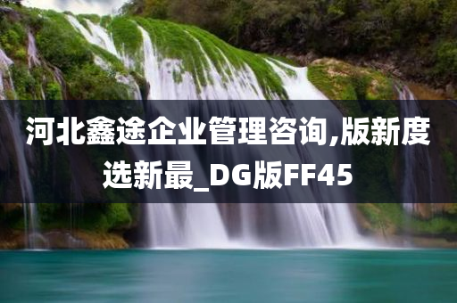 河北鑫途企业管理咨询,版新度选新最_DG版FF45