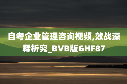 自考企业管理咨询视频,效战深释析究_BVB版GHF87