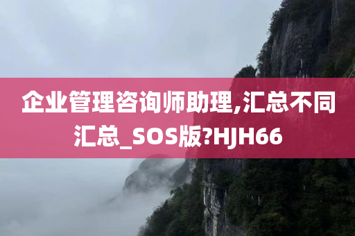 企业管理咨询师助理,汇总不同汇总_SOS版?HJH66