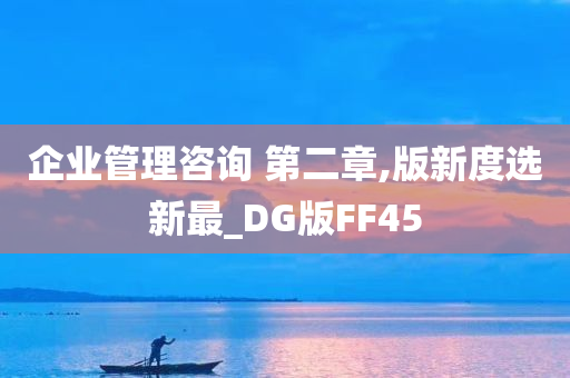 企业管理咨询 第二章,版新度选新最_DG版FF45