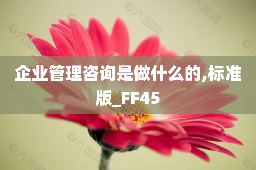 企业管理咨询是做什么的,标准版_FF45