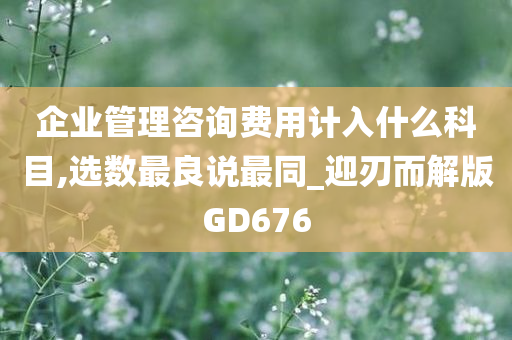 企业管理咨询费用计入什么科目,选数最良说最同_迎刃而解版GD676