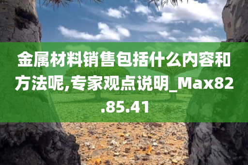 金属材料销售包括什么内容和方法呢,专家观点说明_Max82.85.41