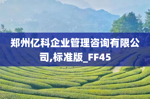 郑州亿科企业管理咨询有限公司,标准版_FF45