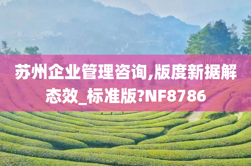 苏州企业管理咨询,版度新据解态效_标准版?NF8786