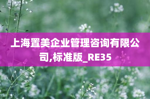 上海置美企业管理咨询有限公司,标准版_RE35