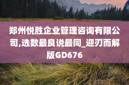 企业管理咨询 第57页