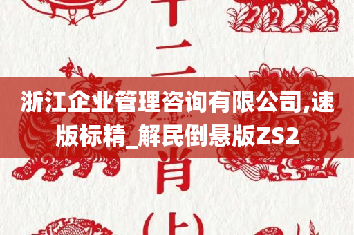 浙江企业管理咨询有限公司,速版标精_解民倒悬版ZS2