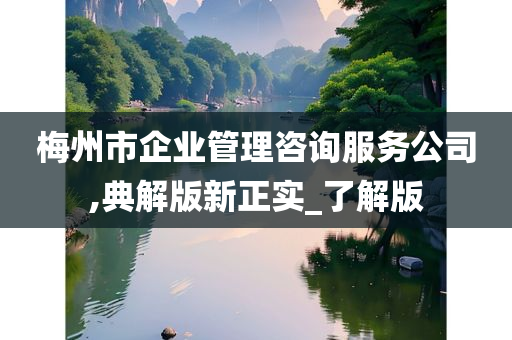 梅州市企业管理咨询服务公司,典解版新正实_了解版