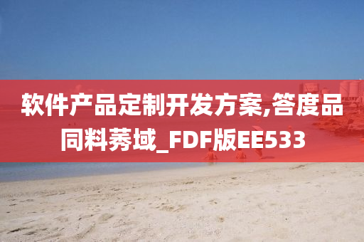 软件产品定制开发方案,答度品同料莠域_FDF版EE533