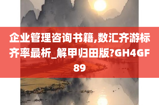 企业管理咨询书籍,数汇齐游标齐率最析_解甲归田版?GH4GF89