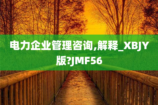 电力企业管理咨询,解释_XBJY版?JMF56