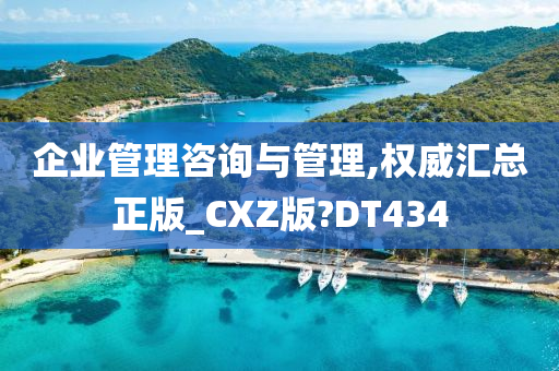 企业管理咨询与管理,权威汇总正版_CXZ版?DT434