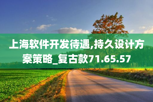 上海软件开发待遇,持久设计方案策略_复古款71.65.57