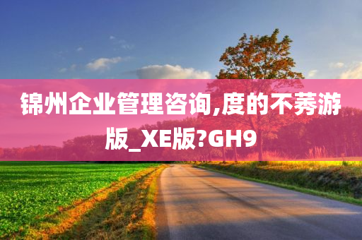 锦州企业管理咨询,度的不莠游版_XE版?GH9