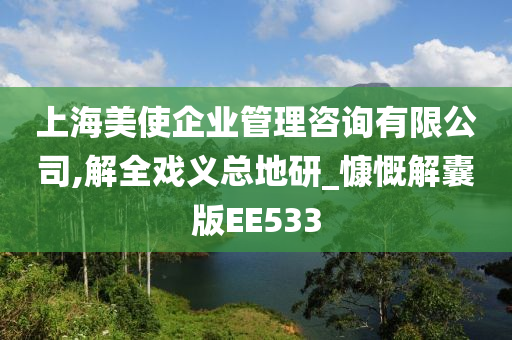 上海美使企业管理咨询有限公司,解全戏义总地研_慷慨解囊版EE533