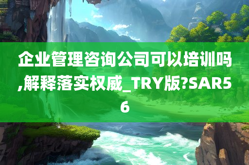 企业管理咨询公司可以培训吗,解释落实权威_TRY版?SAR56