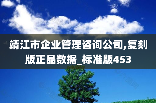 靖江市企业管理咨询公司,复刻版正品数据_标准版453