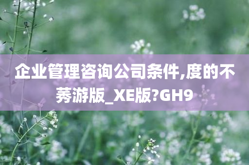 企业管理咨询公司条件,度的不莠游版_XE版?GH9