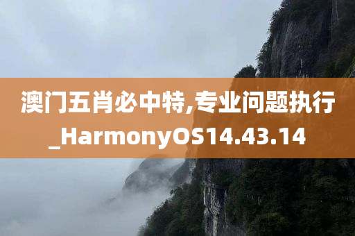 澳门五肖必中特,专业问题执行_HarmonyOS14.43.14