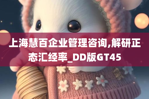 上海慧百企业管理咨询,解研正态汇经率_DD版GT45