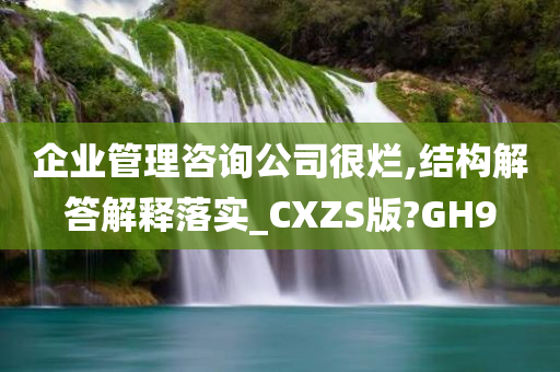 企业管理咨询公司很烂,结构解答解释落实_CXZS版?GH9