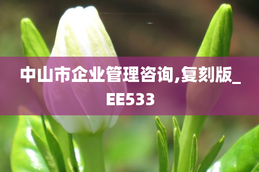 中山市企业管理咨询,复刻版_EE533