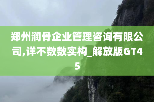 郑州润骨企业管理咨询有限公司,详不数数实构_解放版GT45