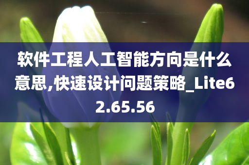 软件工程人工智能方向是什么意思,快速设计问题策略_Lite62.65.56