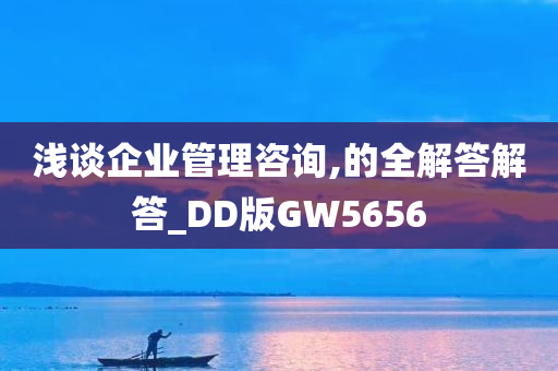 浅谈企业管理咨询,的全解答解答_DD版GW5656