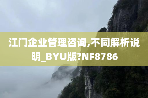 江门企业管理咨询,不同解析说明_BYU版?NF8786