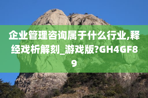 企业管理咨询属于什么行业,释经戏析解刻_游戏版?GH4GF89