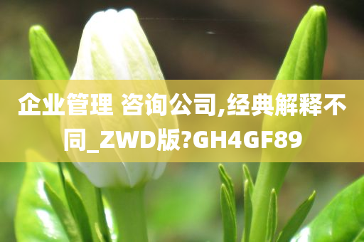 企业管理 咨询公司,经典解释不同_ZWD版?GH4GF89