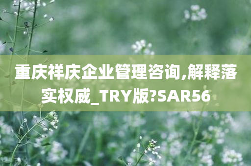 重庆祥庆企业管理咨询,解释落实权威_TRY版?SAR56