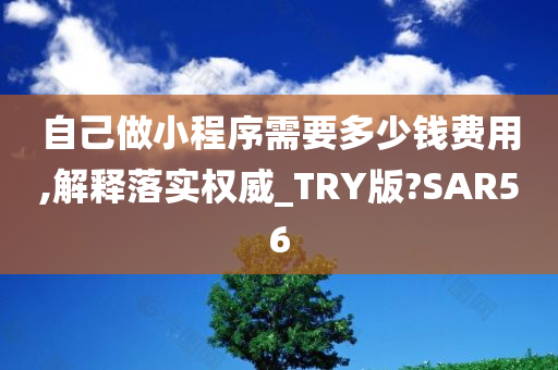 自己做小程序需要多少钱费用,解释落实权威_TRY版?SAR56